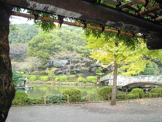 Etang au Yakushi Ike Parkà